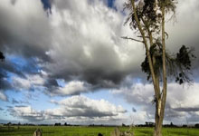 天津天海客场取分，迈出胜利关键一步