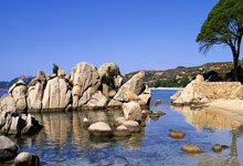 掘金队半程低迷，球队需找回状态