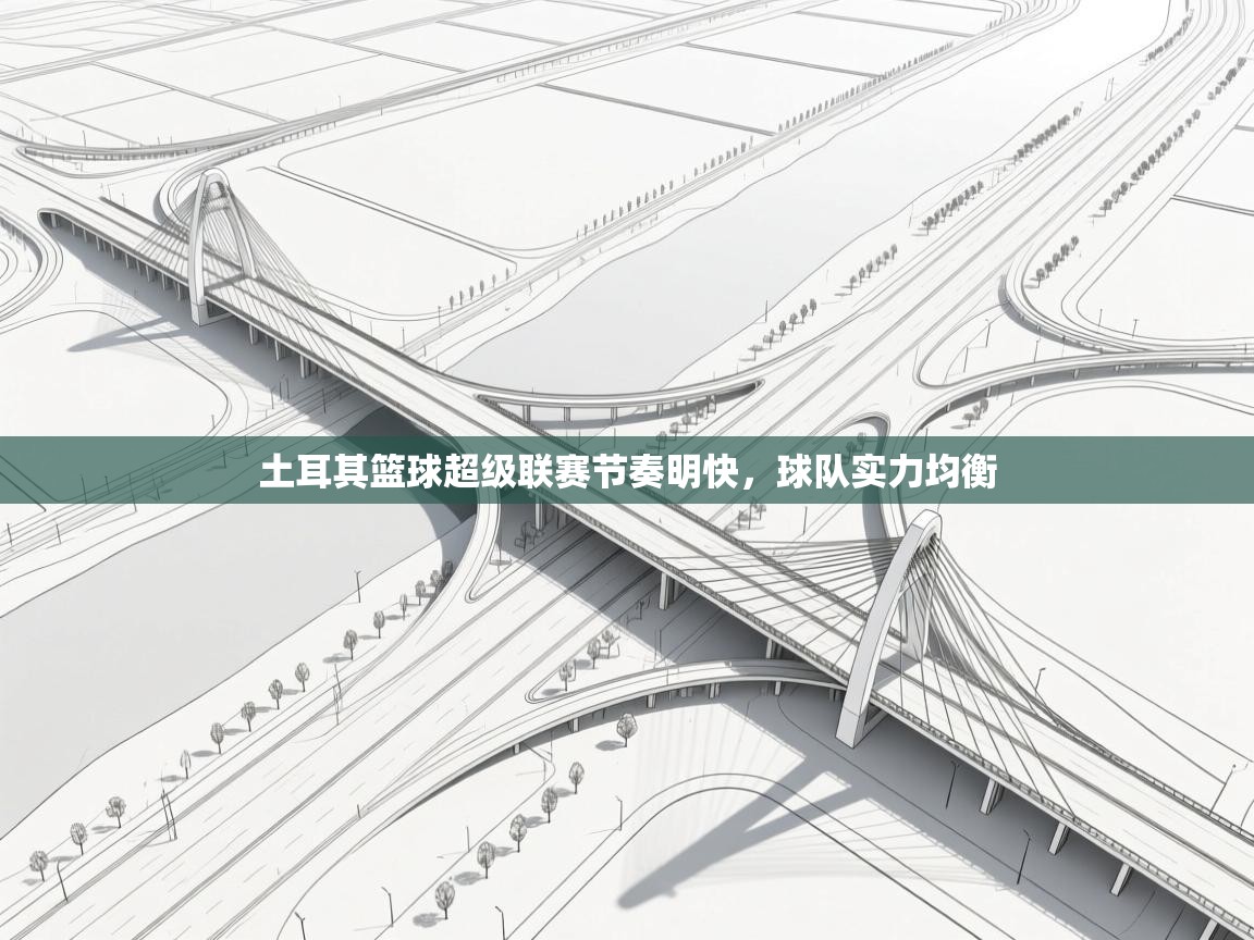 土耳其篮球超级联赛节奏明快，球队实力均衡  第2张