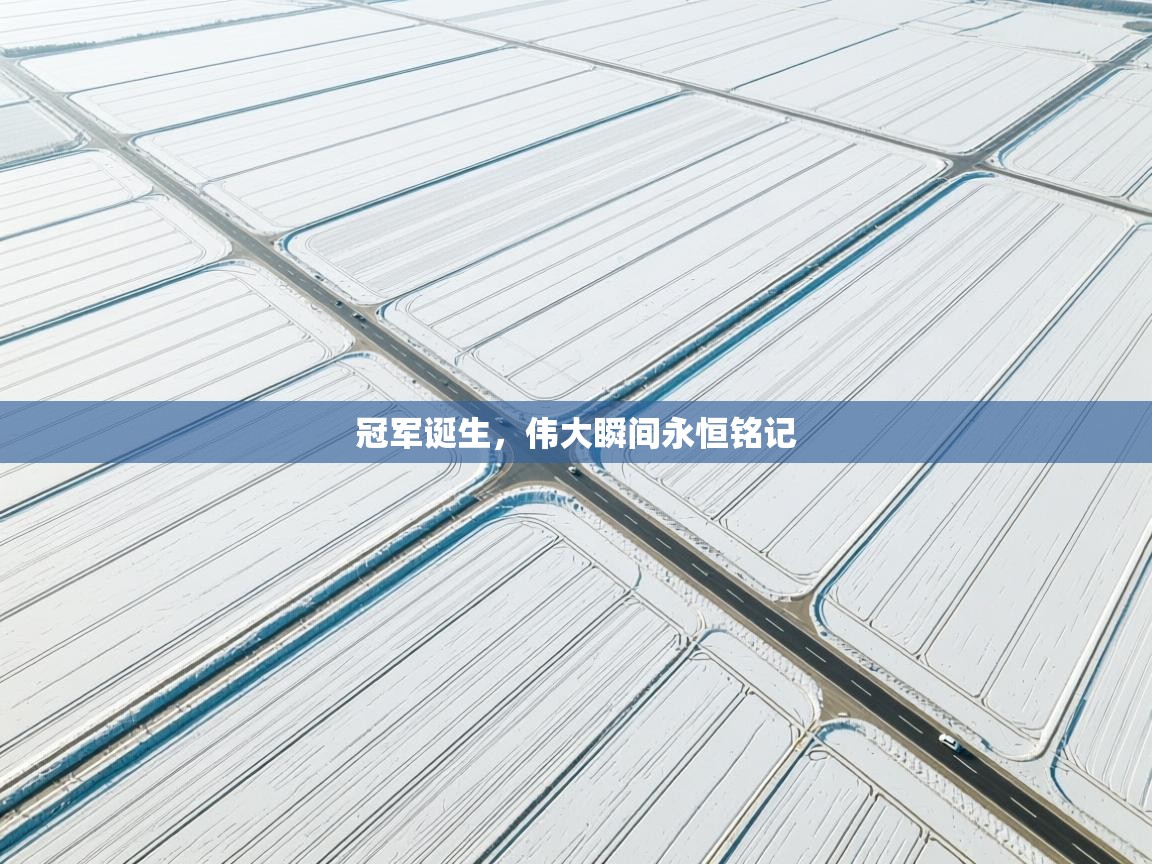 冠军诞生，伟大瞬间永恒铭记  第1张