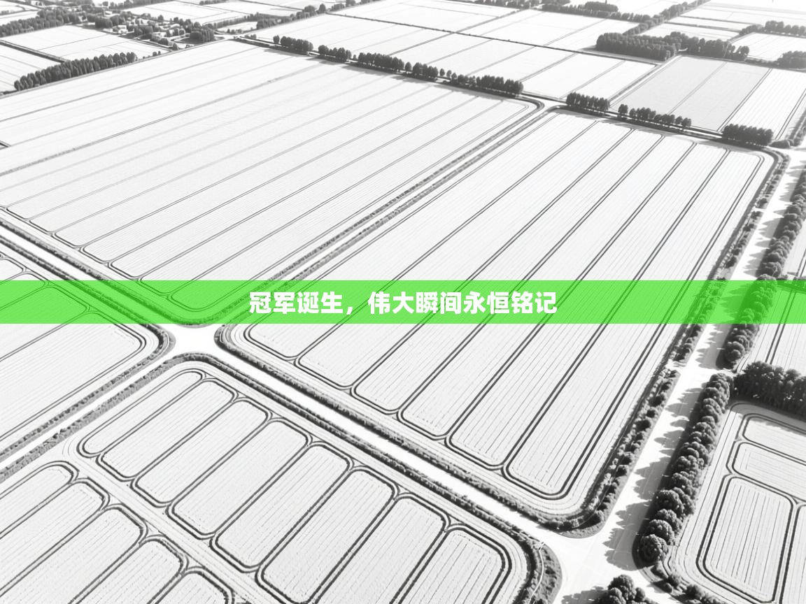 冠军诞生，伟大瞬间永恒铭记  第2张