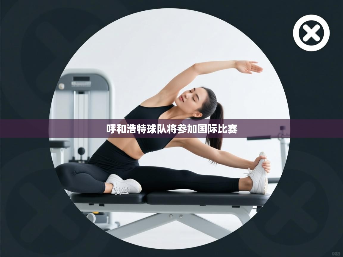 呼和浩特球队将参加国际比赛  第2张