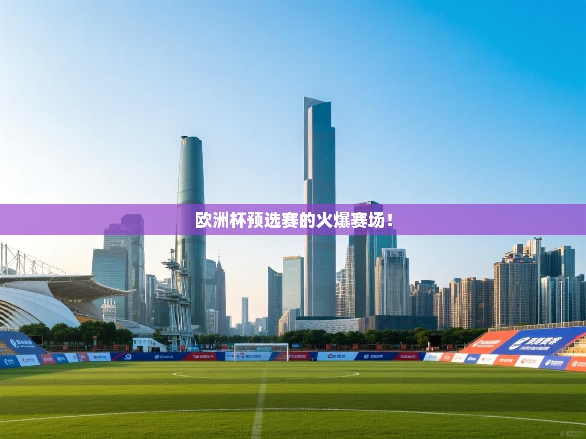 欧洲杯预选赛的火爆赛场！