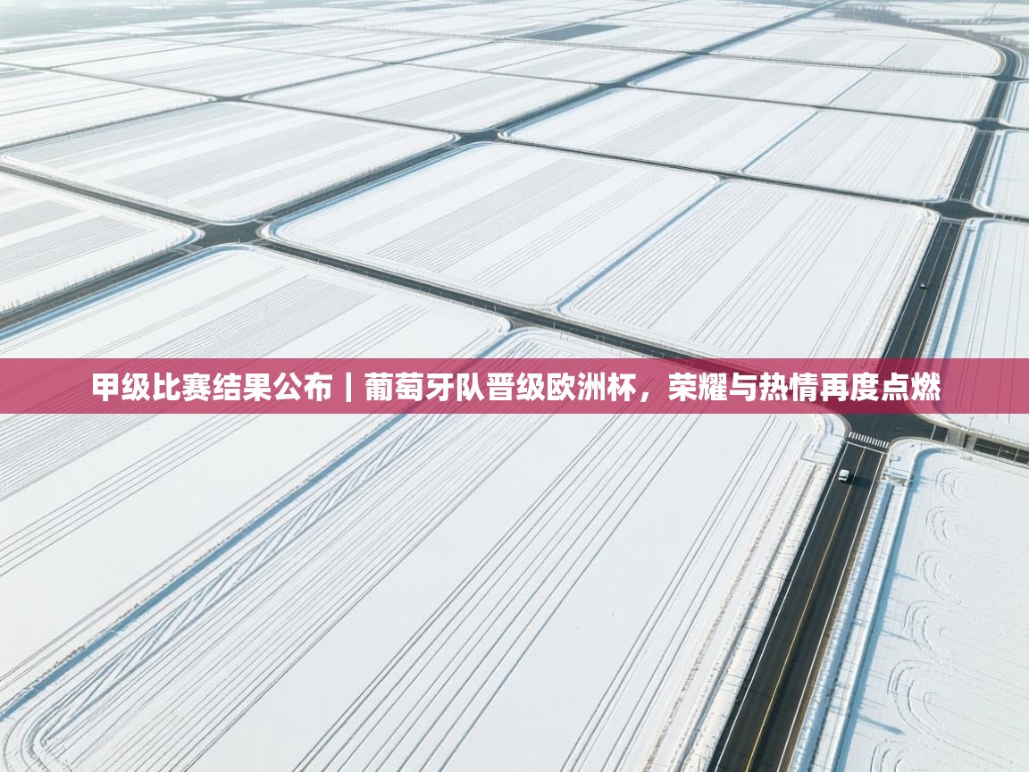 甲级比赛结果公布｜葡萄牙队晋级欧洲杯，荣耀与热情再度点燃