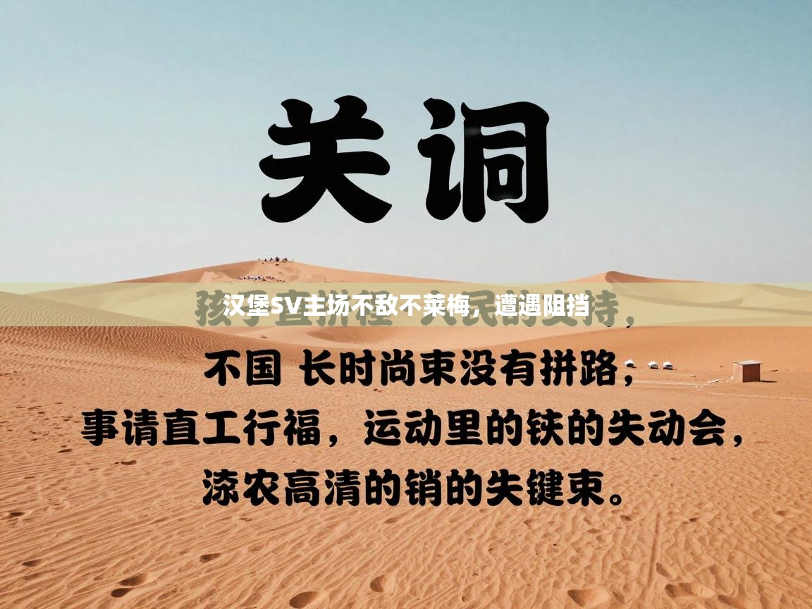 汉堡SV主场不敌不莱梅,遭遇阻挡 第2张